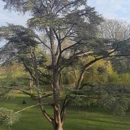 Chateau Des Chevaliers De Grand Tonne Hotel *