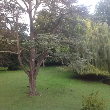 Chateau Des Chevaliers De Grand Tonne Sainte-Croix-Grand-Tonne