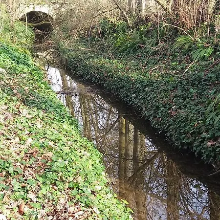 Chateau Des Chevaliers De Grand Tonne Hotel