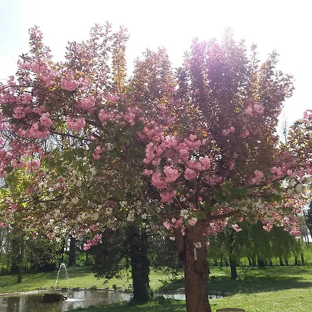 Chateau Des Chevaliers De Grand Tonne Hotel