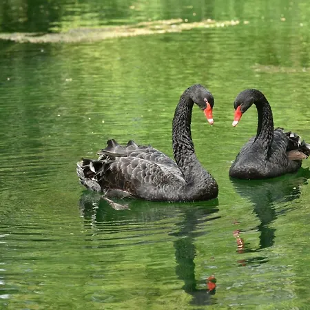 Chateau Des Chevaliers De Grand Tonne