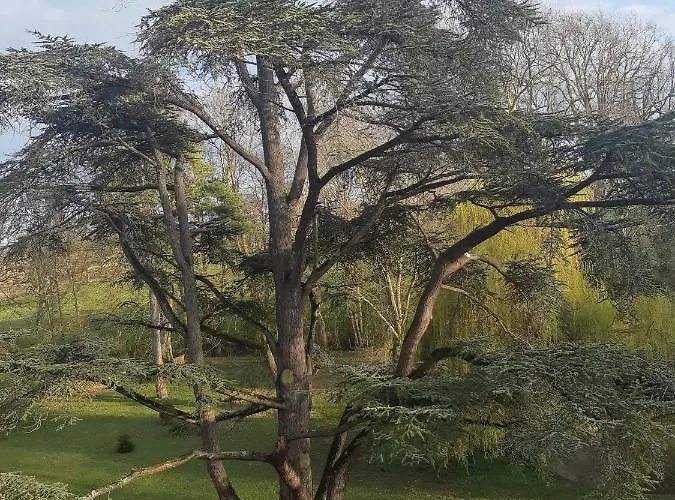 Chateau Des Chevaliers De Grand Tonne Ξενοδοχείο *