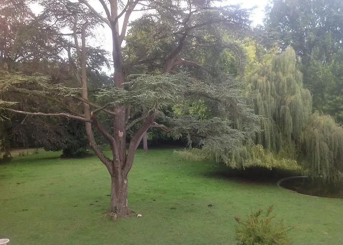 Chateau Des Chevaliers De Grand Tonne Sainte-Croix-Grand-Tonne