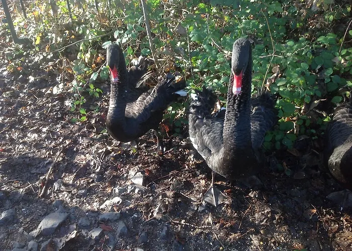 Chateau Des Chevaliers De Grand Tonne Sainte-Croix-Grand-Tonne