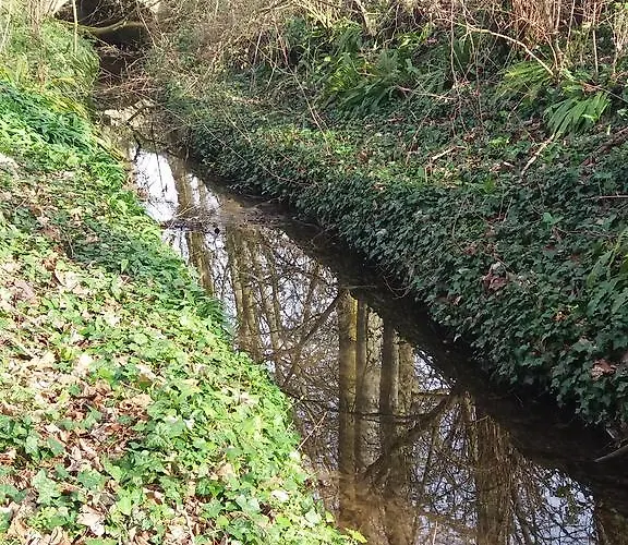 Chateau Des Chevaliers De Grand Tonne Ξενοδοχείο