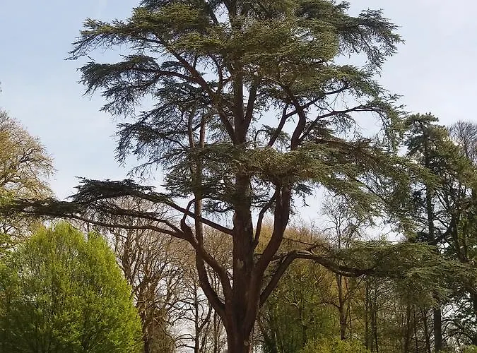 Chateau Des Chevaliers De Grand Tonne Hotell