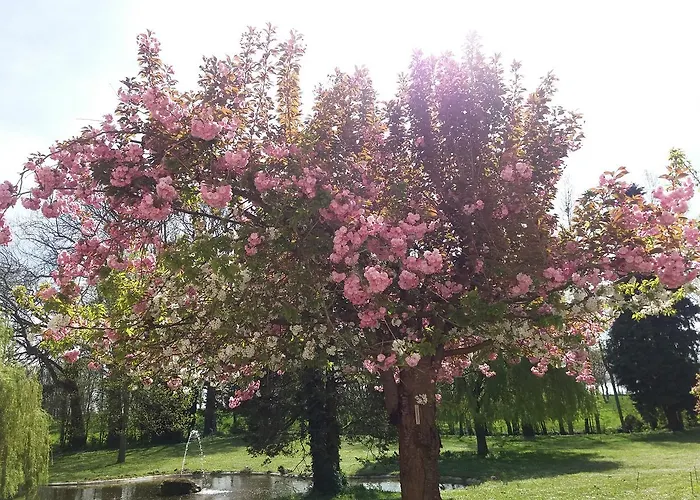 Chateau Des Chevaliers De Grand Tonne Ξενοδοχείο