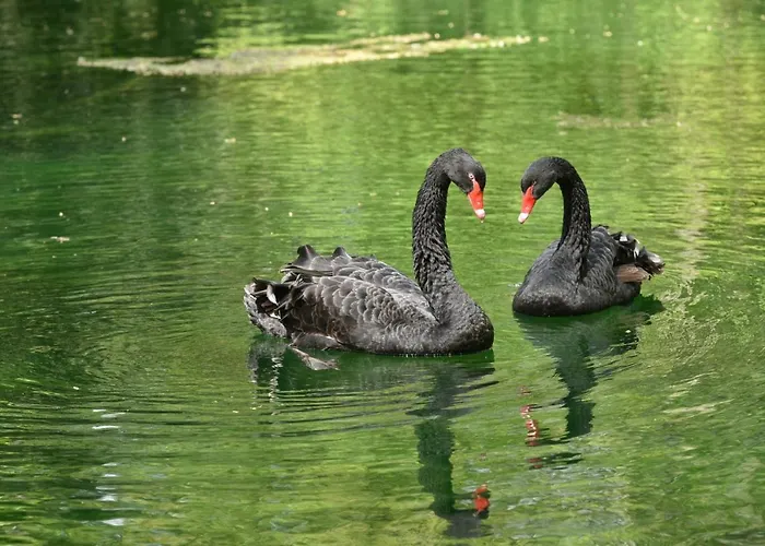 Chateau Des Chevaliers De Grand Tonne